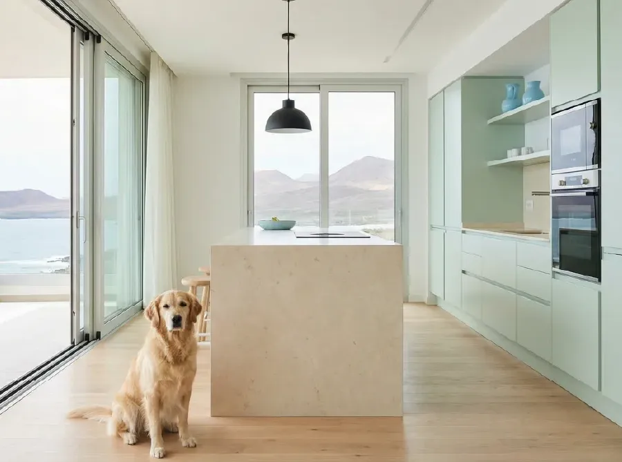 Seguro para mascotas